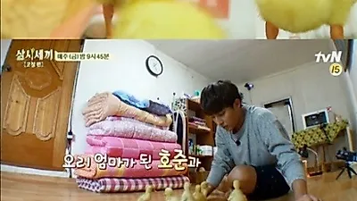 '삼시세끼', 샛노란 아기 오리 등장 '넋 놓고 바라봐'