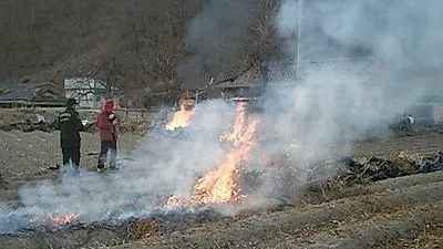 산불방지 위반행위 신고시 포상금 지급