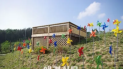 단풍철, 애견과 쉬어갈 수 있는 고속도로 휴게소 눈길