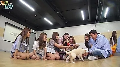 '개밥 주는 남자' 이상민, 집 나간 원숭이 "1년간 전단지 뿌렸지만…"