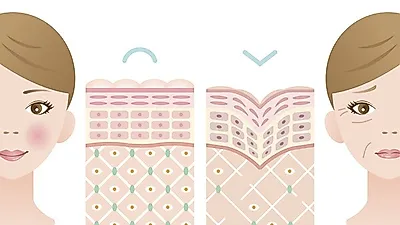 2꿀 피부의 비결 콜라겐 덕분 ? 콜라겐 효능과 콜라겐 먹는법 등 콜라겐의 모든 것