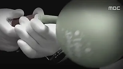 국내 첫 사망사례 해피벌룬 '환각물질 지정'...몽롱해지는 문제의 가스