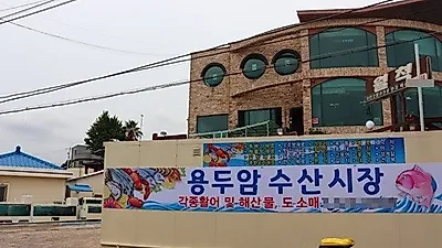 제주도 맛집 용두암 수산센터에서 바다를 그대로 담은 싱싱한 회를 즐길 수 있어