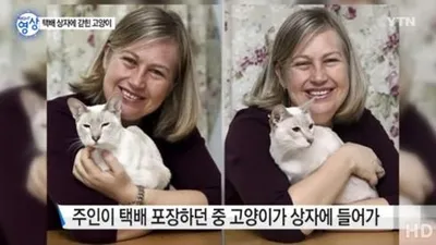 택배 상자 들어갔다 배달된 고양이, 8일만에 극적 구조