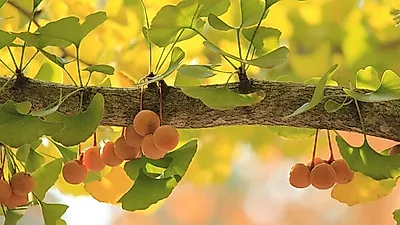 [질병상식]   방광에 생기는 감기  '방광염'  증상 및 생활 속 예방법 알아둬야