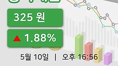 주식마감흥아해운 10일 325원 장 마쳐그래프종합복습