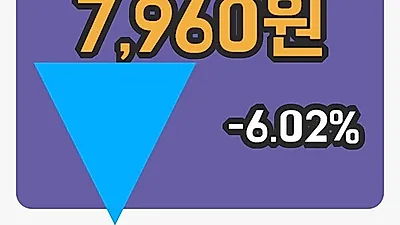 국내주식마감이라이콤 28일 7,960원 마감...
