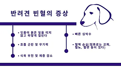 반려견 ‘빈혈’ 알려면? “잇몸부터 확인해야”