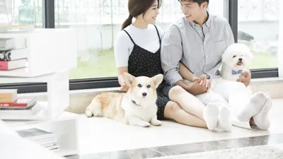 英, 반려견 공유 서비스 '버로우 마이 도기' 등장