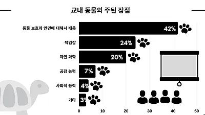 학교에서 키우는 동물, 아이들 공감능력 및 책임감에 긍정적