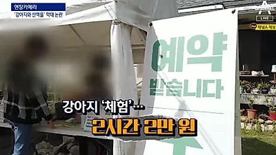 "내 돈내고 학대 동참한 느낌" 강아지 산책 체험 동물학대 논란