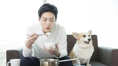 일본과 1인가구