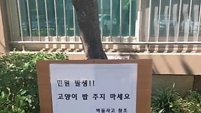 고양이한테 밥 주면 벽돌 던진다?"…아파트 경고문 논란