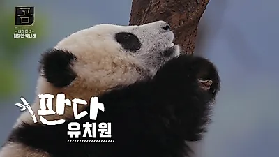 "정해인X곰 다큐 제대로 통했다"…갈곳 잃은 곰들의 일상에 시청자 눈물