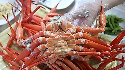 내 마음대로 홍게를 무제한 즐길 수 있는 곳, 강릉 맛집 '주문진홍게무한리필'