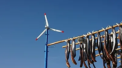 [제철음식] 본격적인 제철맞았다…과메기 철 맞아 효능 및 먹는 법 소개