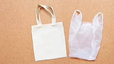 패션도 환경을 생각하며,   취향따라 고를 수 있는  에코백  "에코백 관리법은?"