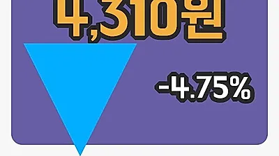 주식마감한진중공업홀딩스 25일 4,310원 장종료
