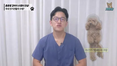 말티즈·푸들 품종별 수명 차이, 체중 관리로 수명 늘릴 수 있다