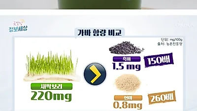 새싹보리, 체중 경감은 물론 '스트레스 완화'까지? 고소하고 부드러운 맛 효능·부작용 및 먹는 법은?