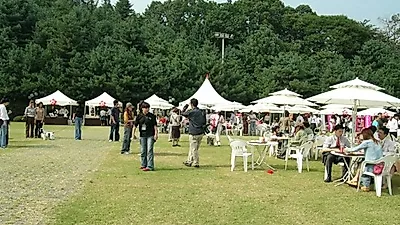 대한민국 반려동물 문화 축제, 취지는 좋은데..