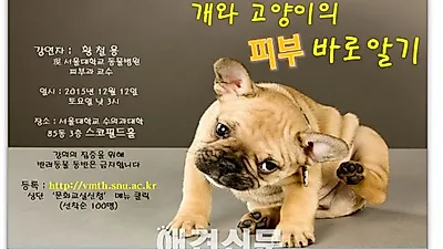 '개와 고양이의 피부 바로 알기' 서울대 반려동물 문화교실 12일 개최