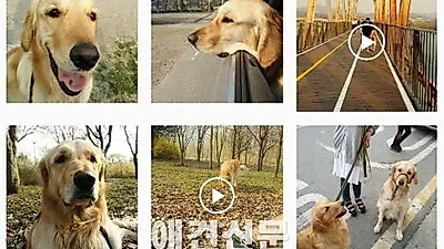 '#멍스타그램' 상반기 인스타그램 유행 트랜드