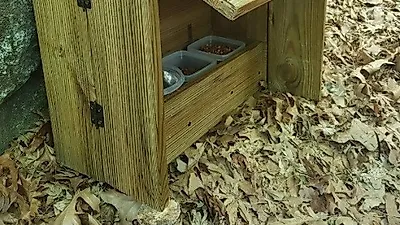선우선, 고양이 급식소 직접 제작