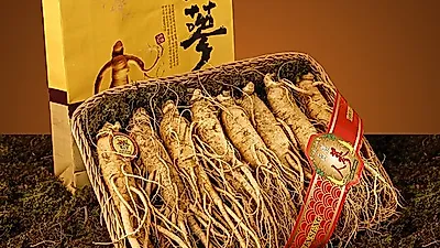 [항암음식]   어머니선물로 어울리는 홍삼,   효능 느끼고 싶다면   꼼곰한 체크 필수