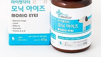 결막염이나 눈 염증 같은 고양이 눈병, 세심한 관찰과 영양식으로 예방해야