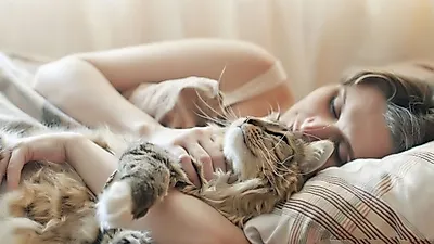 고양이 기르면 심장 질환 적게 걸린다