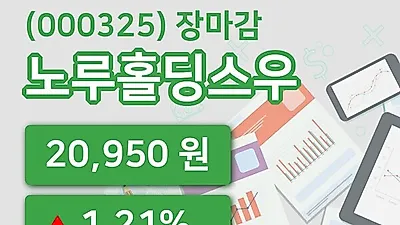 주식마감노루홀딩스우 29일 20,950원 마감
