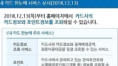 신용카드 포인트·결제 금액 통합 조회 서비스 '내 카드 한눈에'‥시행 날짜와 카드사 종류는?  