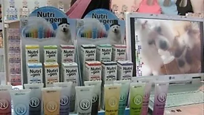 "당신의 반려동물, 건강한 음식을 먹이고 있나요"