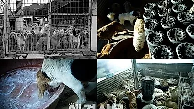 김삼열 작가의 포토에세이 #8 '이른 봄날'