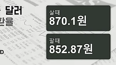 10일 싱가폴 달러 살때 870.1원, 팔때 852.87원 ▲0.31%상승