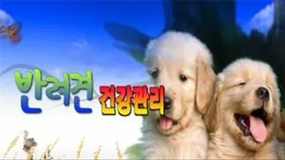 농촌진흥청, 반려견 양육 정보 담은 동영상 공개