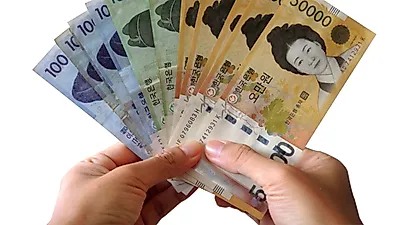 2019 근로·자녀장려금 자격요건, '마지막기회' 국세청 신청 90% 지급액 수급, 근로장학금 반기지급일은?