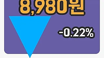 국내주식마감데브시스터즈 15일 8,980원 장종료그래프정리