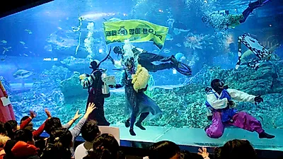 SEA LIFE 부산아쿠아리움, 새해 맞이 이벤트 진행
