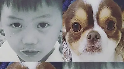 비스트 양요섭, 반려견과 닮은 꼴 투샷 "좋은 아침"