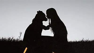 [책소개] 수의사로 산다는 것
