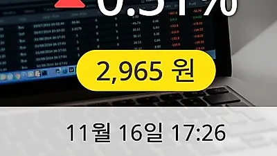 더블유에프엠 16일 2,965원 마감