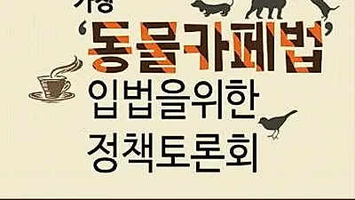 카라, 오는 14일 동물카페법 입법 정책토론회 개최