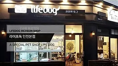 인천강아지분양브랜드 '라이프독', 인천, 부천 지역 분양고객 위한 다양한 프로모션과 혜택 제공