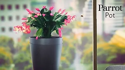 반려식물 생육환경을 스마트폰으로 제어하는 '패럿 팟'