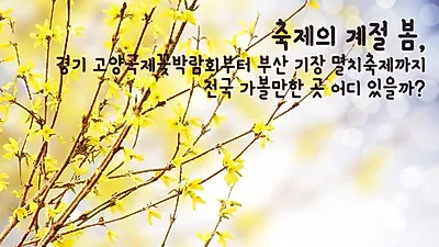 축제의 계절 봄, 전국 가볼만한 곳 어디 있을까?