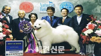 한국애견연맹 2014랭킹어워드 개최, 국내 최초 도그쇼 시상식