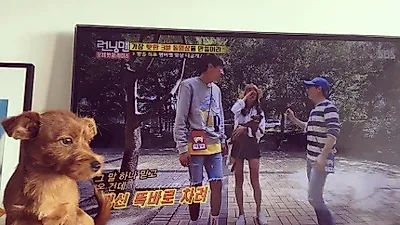 강승현, 반려견과 런닝맨 보는 중 '첵스 데뷔 완료'