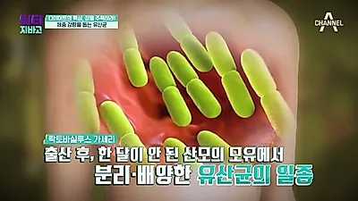 대장암에 좋은 음식 '모유유산균', 다이어트에도 좋아...모유유산균 먹는 방법은?